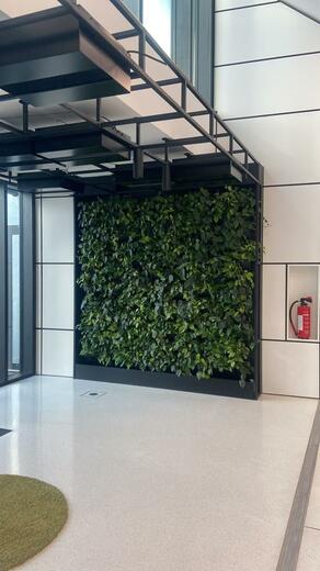 Designová konstrukce - Office Jungle  Karlsruhe - RAL9005